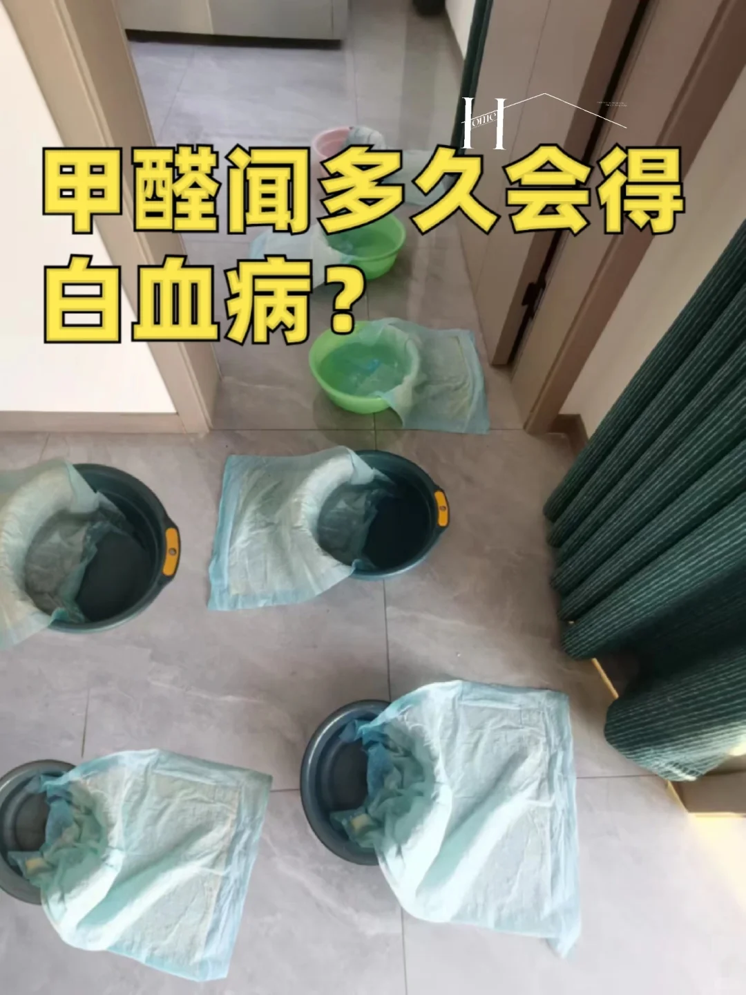 感恩网友！这辈子没想到除甲醛这么简单