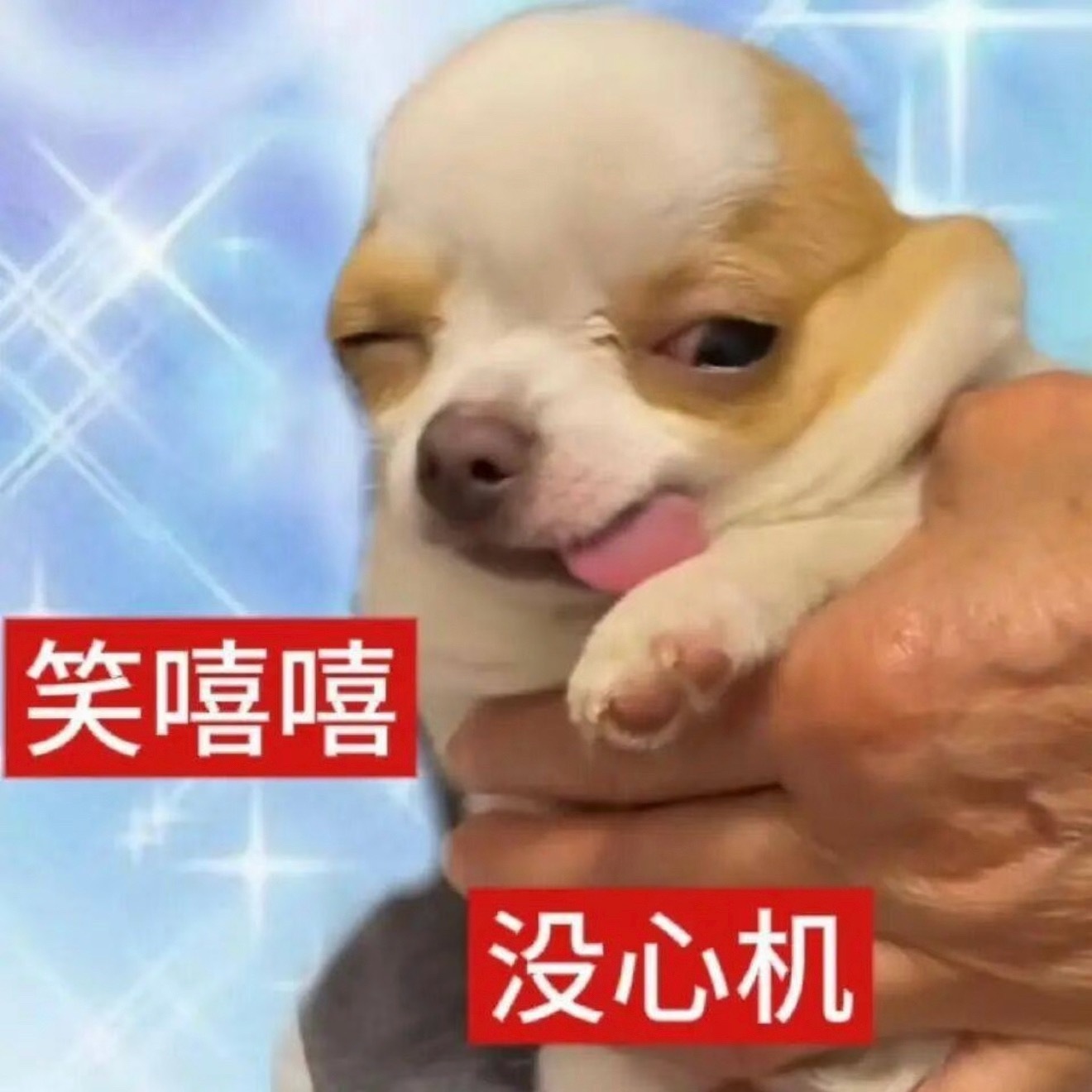 买了袋零食有点踩雷，他说他带给同事吃我说还是我带给同事吃吧，你同事好东西吃得多，