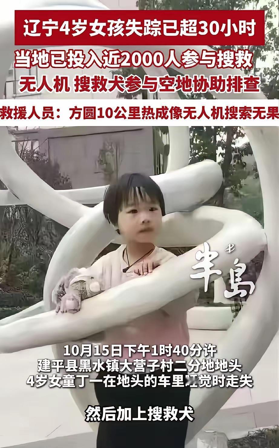 辽宁4岁女童找到了！但这场“全民推理”该醒醒了

辽宁黑水镇4岁女童丁一平安获救