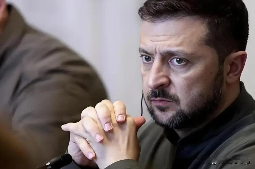 泽连斯基放弃入约：俄乌局势的“破局信号”还是“妥协无奈”？
 
泽连斯基表态愿以