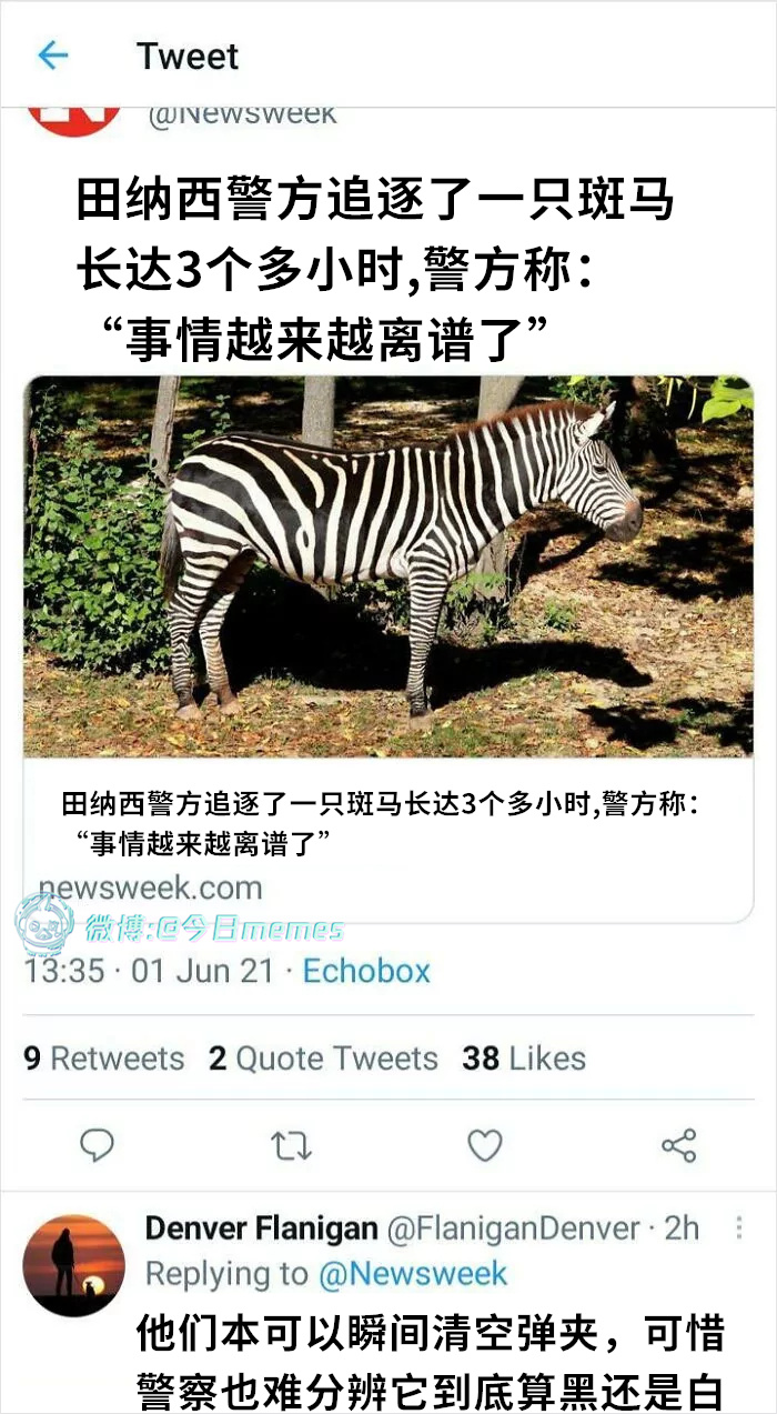 白马？（9gag）今日meme[超话] 今日memes ​​​