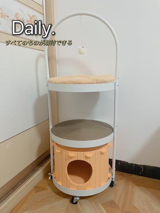 多猫家庭给我安排这个猫爬架好吗❓  三层结