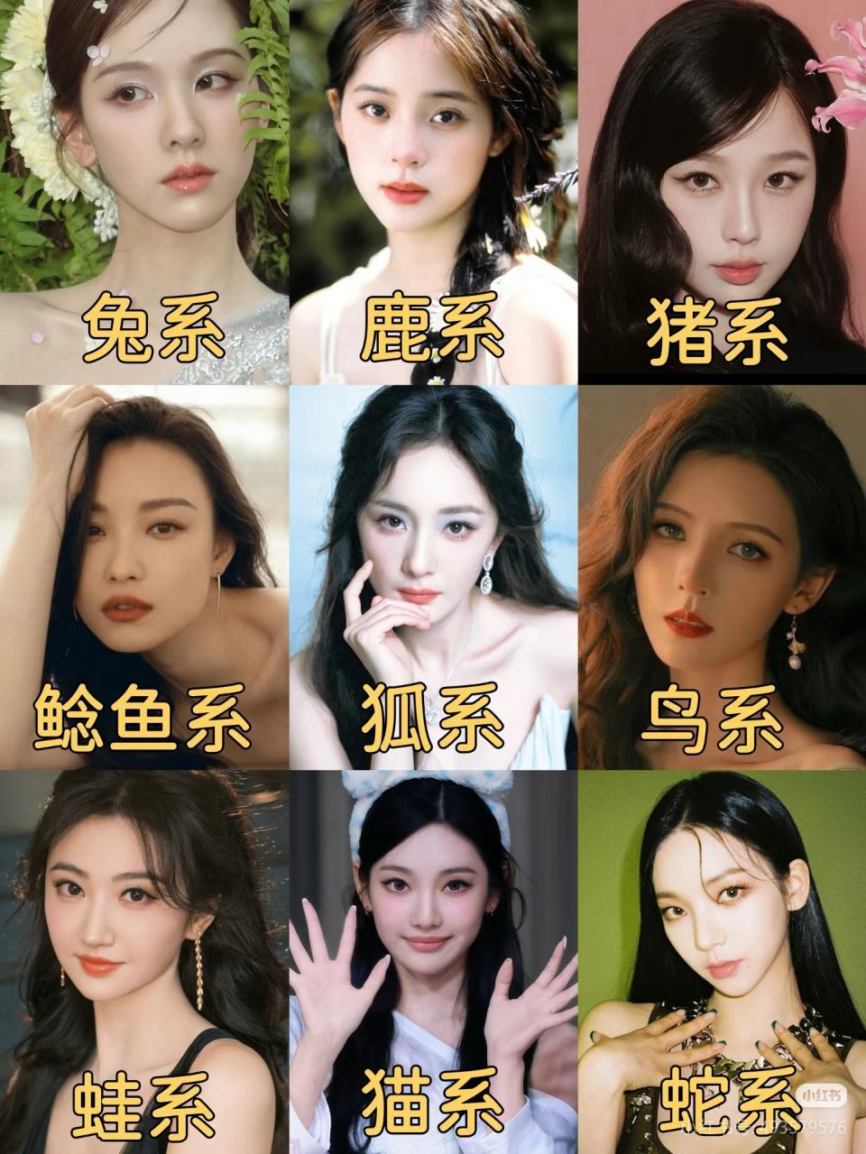 动物系女艺人这有点不尊重人了 ​​​