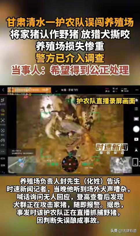 甘肃天水清水县，深夜，一场本该是“为民除害”的护农行动，却因一个致命的误判，演变