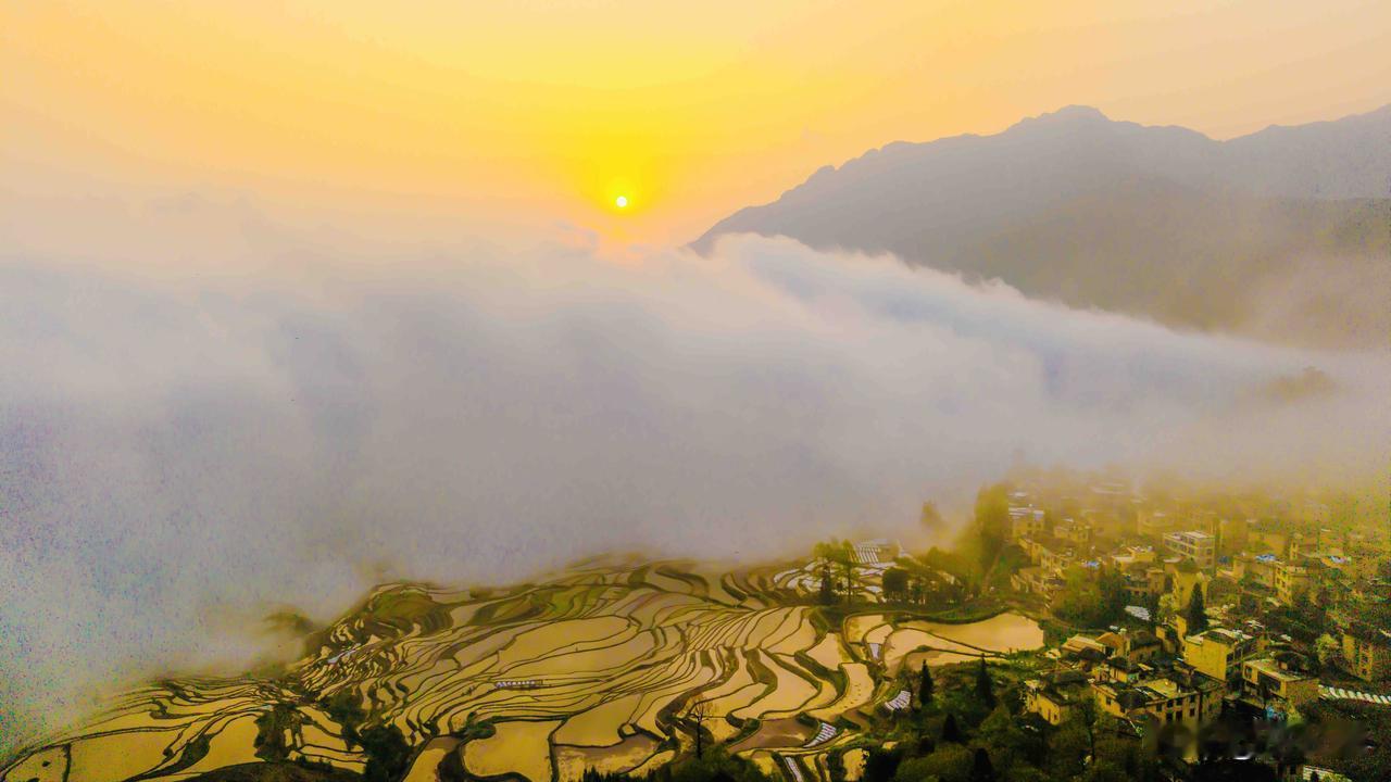 元阳梯田，上帝的调色板！千百年来哈尼族人民劳动的画卷！元阳哈尼族乡 建水元阳 哈