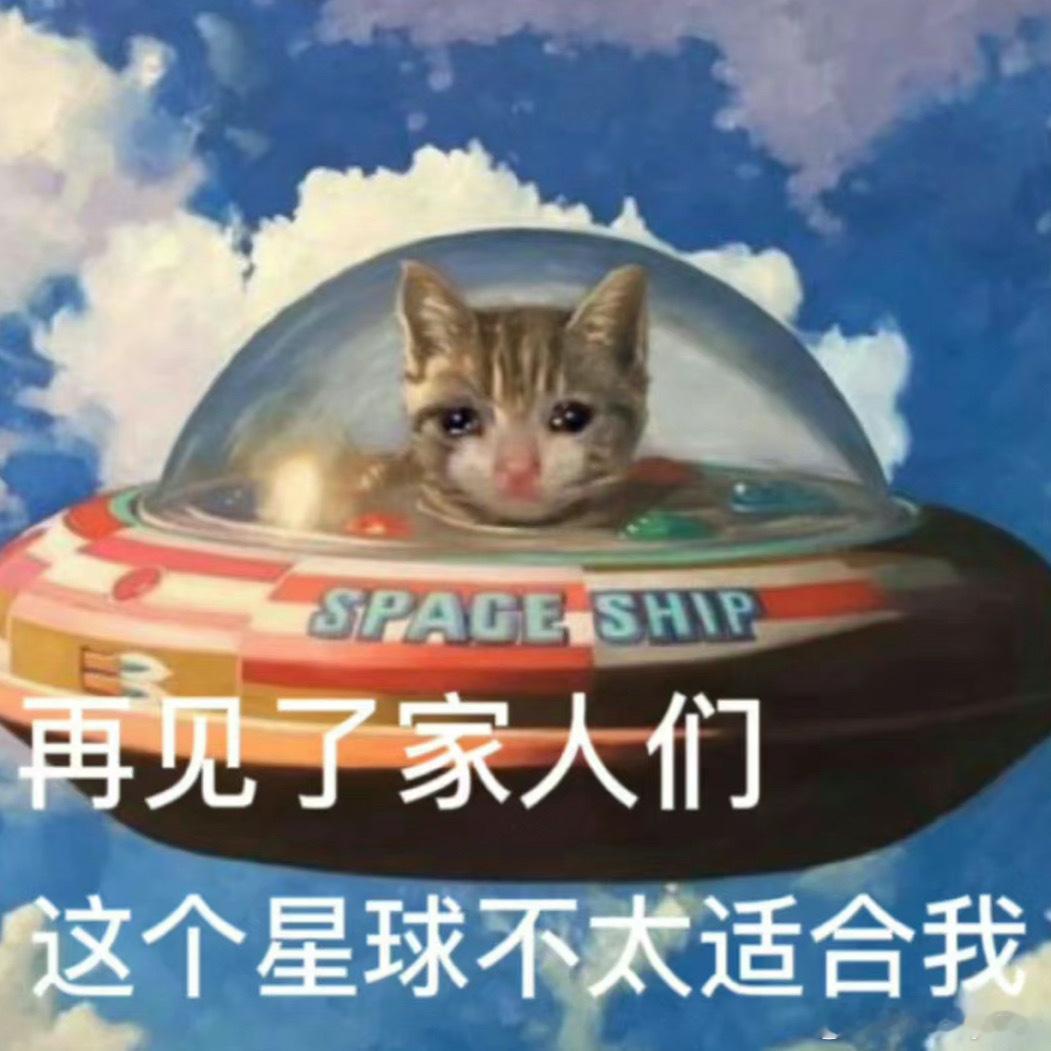 上半个月开车的违章罚款已经达到了惊人的500块…奖池还在不断叠加 