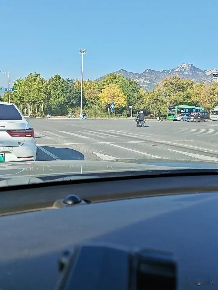 早晨开车，发现有一只猫钻到了发动机舱里。今天早上急匆匆准备去新筹建的工厂去看一看