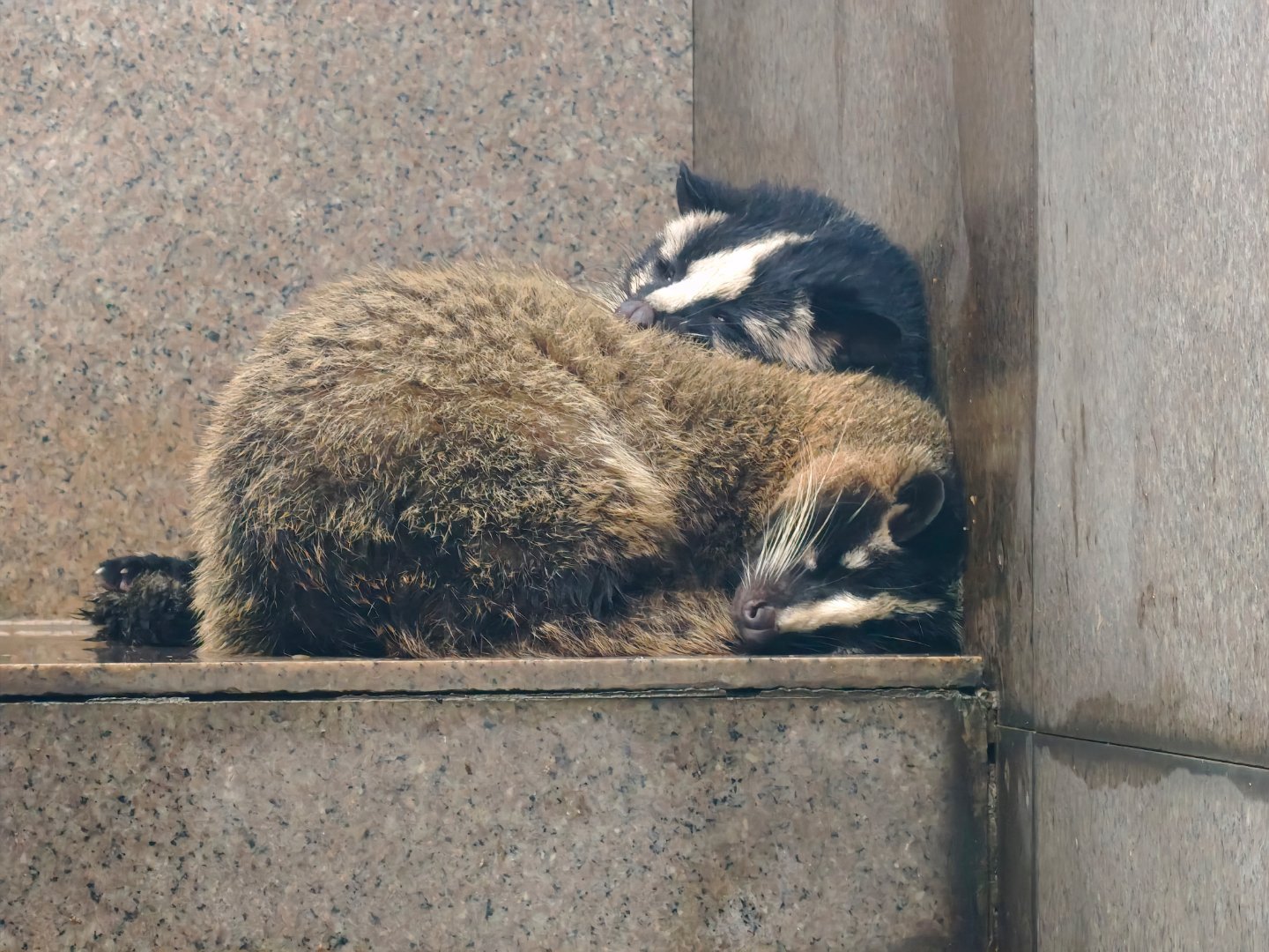 今天是休息日，没错。  ​​​