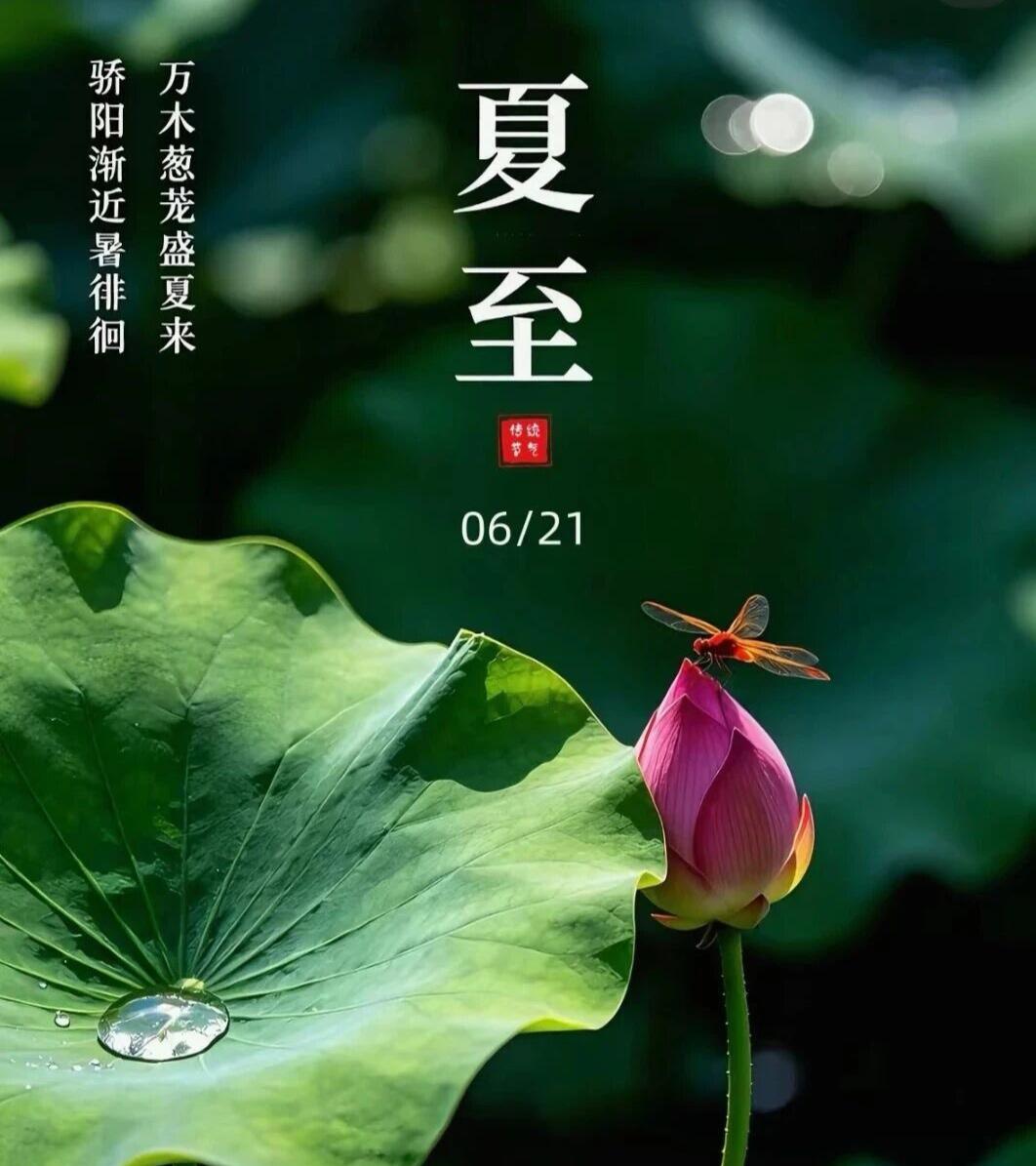 转眼这节气就到了夏至。
其实，我是有些怕过夏至的，因为从夏至开始，白天就一天比一