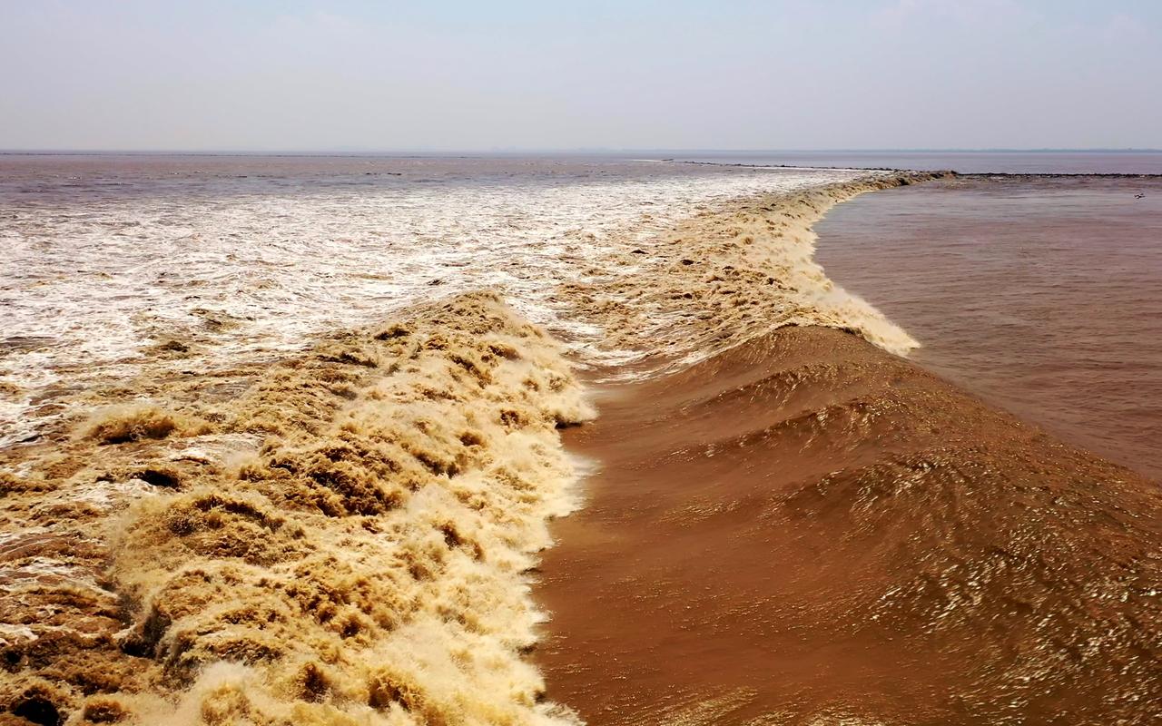 家人们，韩国现在在中美之间那可是玩起了高难度的“走钢丝”平衡术，一个不小心就可能