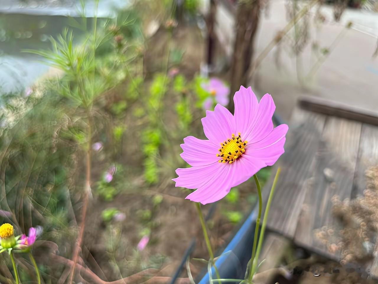 人间正道是沧桑