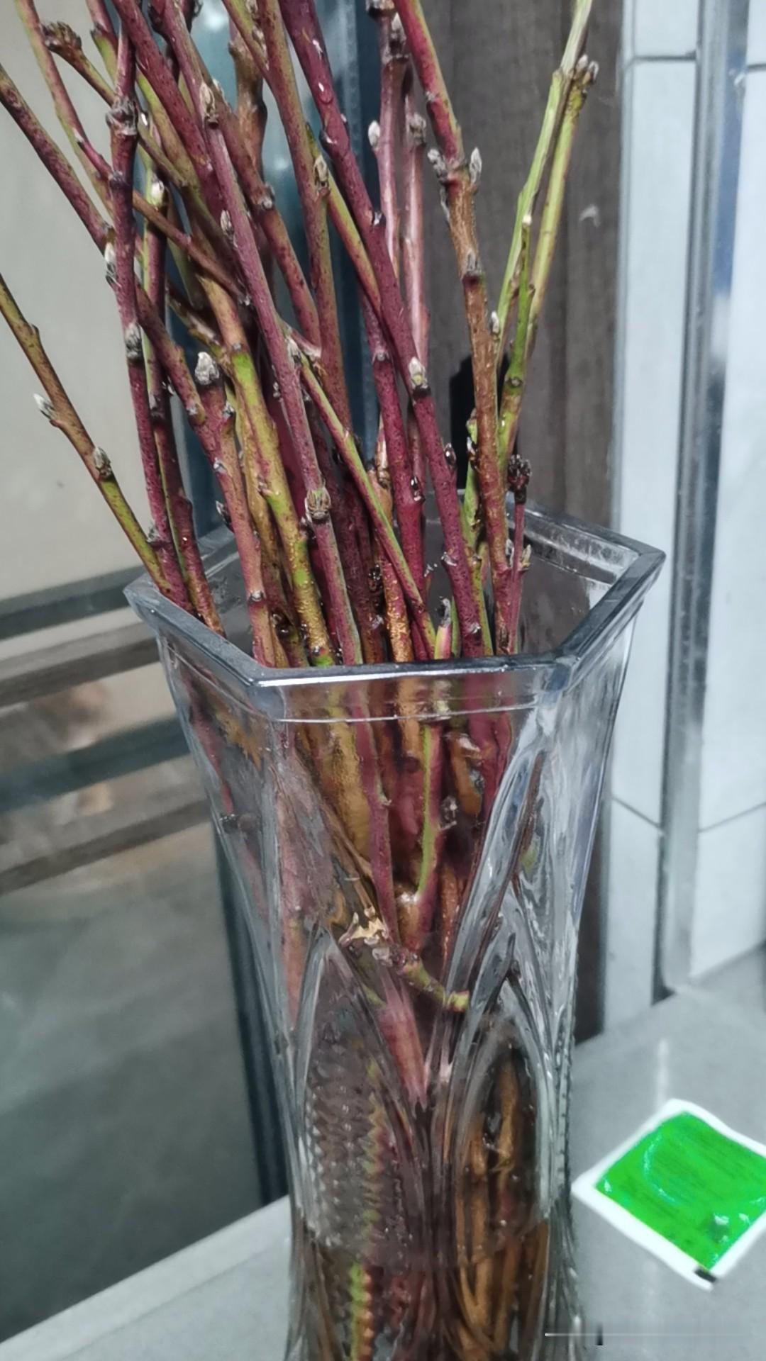 同学离婚时年轻气盛，明明是她老公婚内出轨，她选择了净身出户，公司，房子，车，和唯