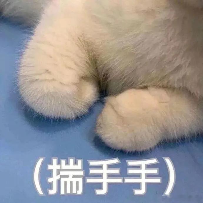 董路预测C罗今晚一定是首发这是C罗职业生涯最后的一次世界杯了，就冲这一点就会给他