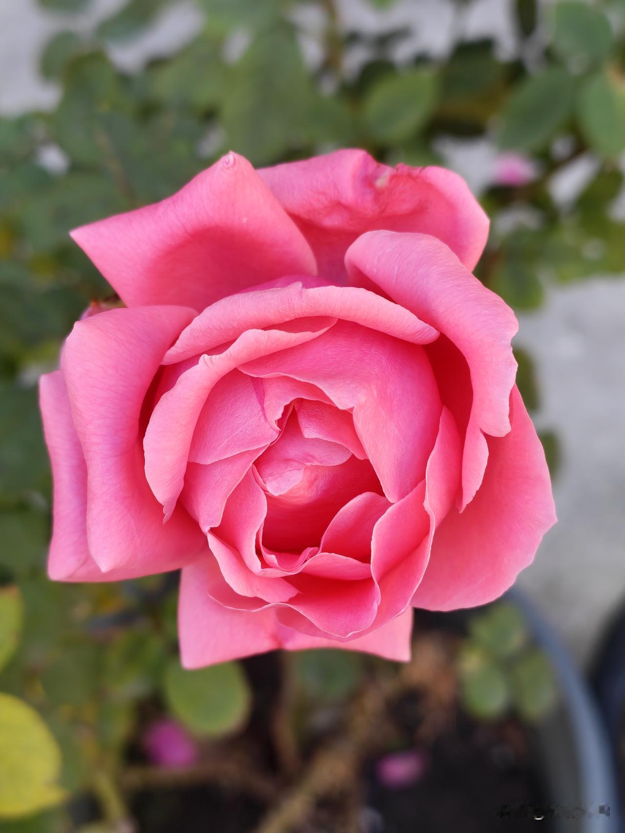 冬日生活打卡季