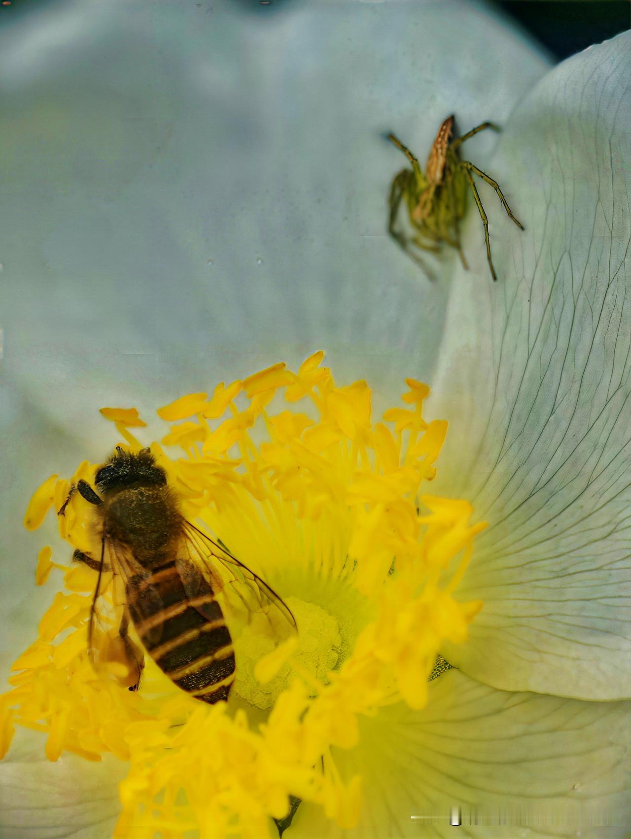 每日一图随手拍