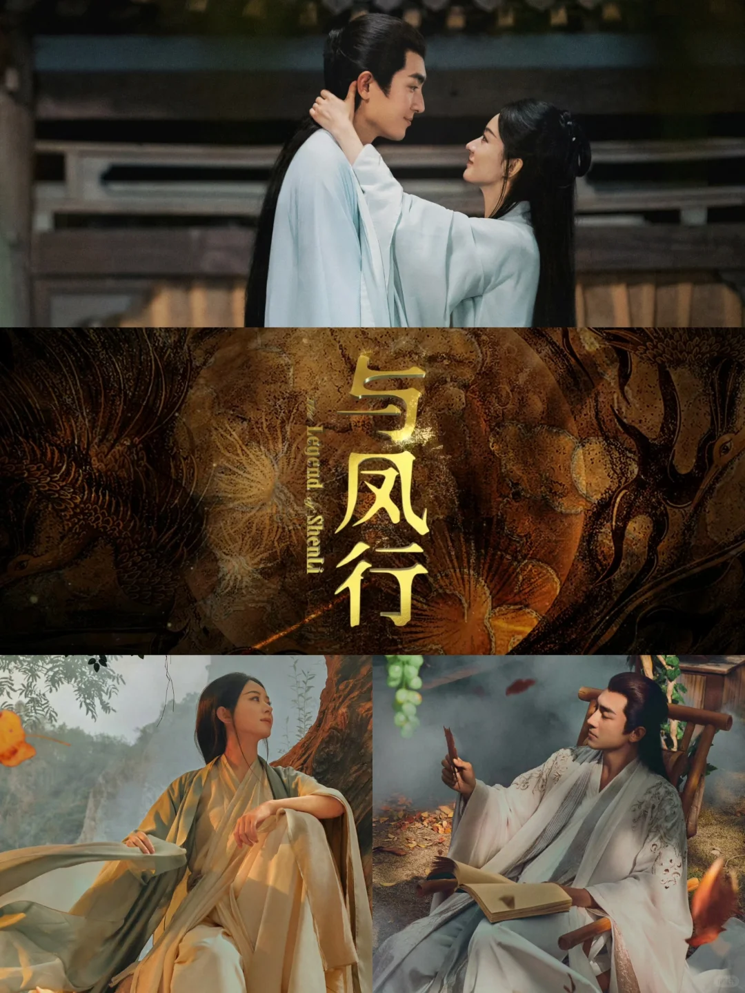 赵丽颖林更新主演❗️女A男O❗️又甜又搞笑