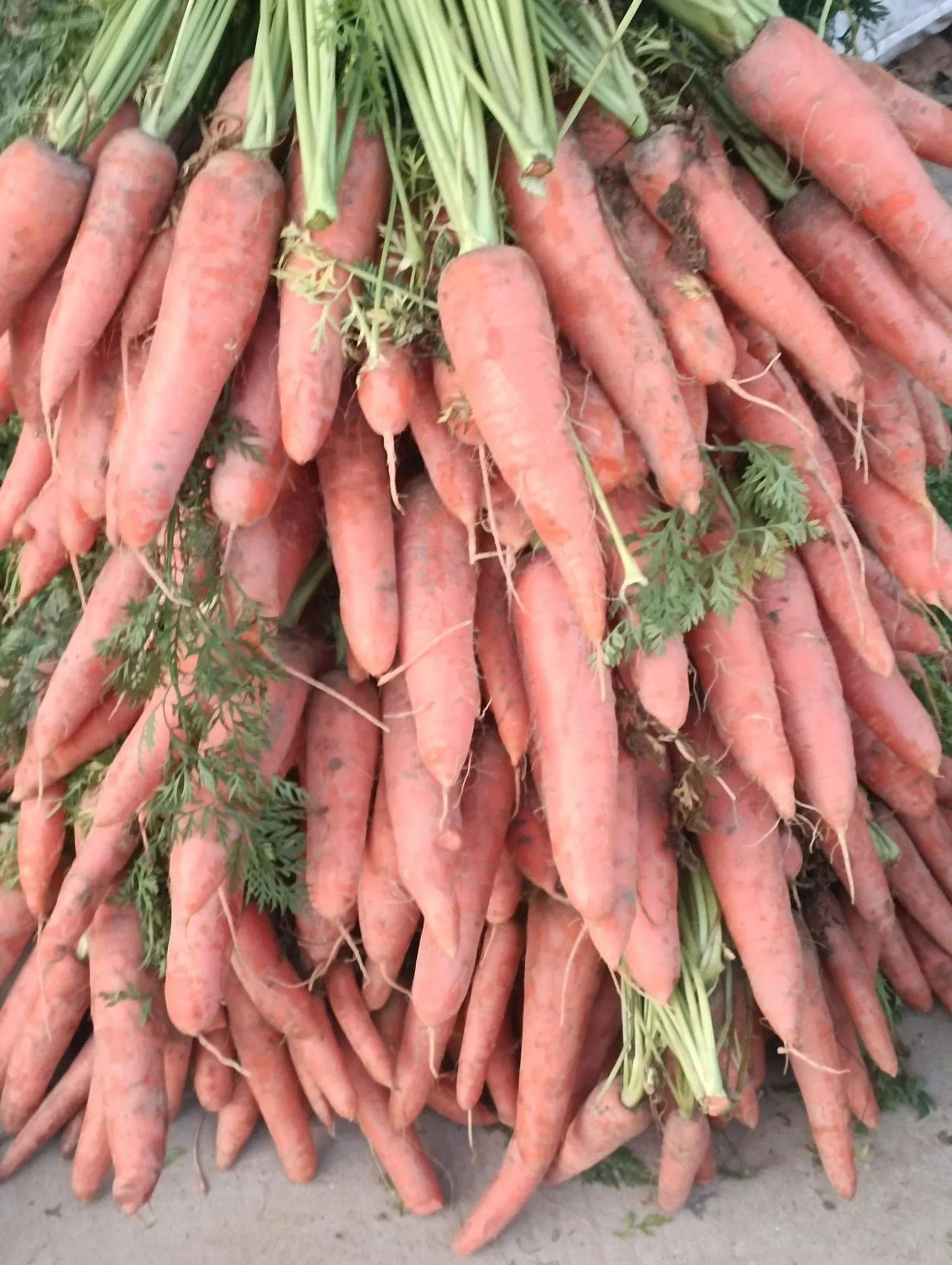 早上的风景！
   河南省商丘市宇航路的早市，非常热闹。
   许多都是乡下的村