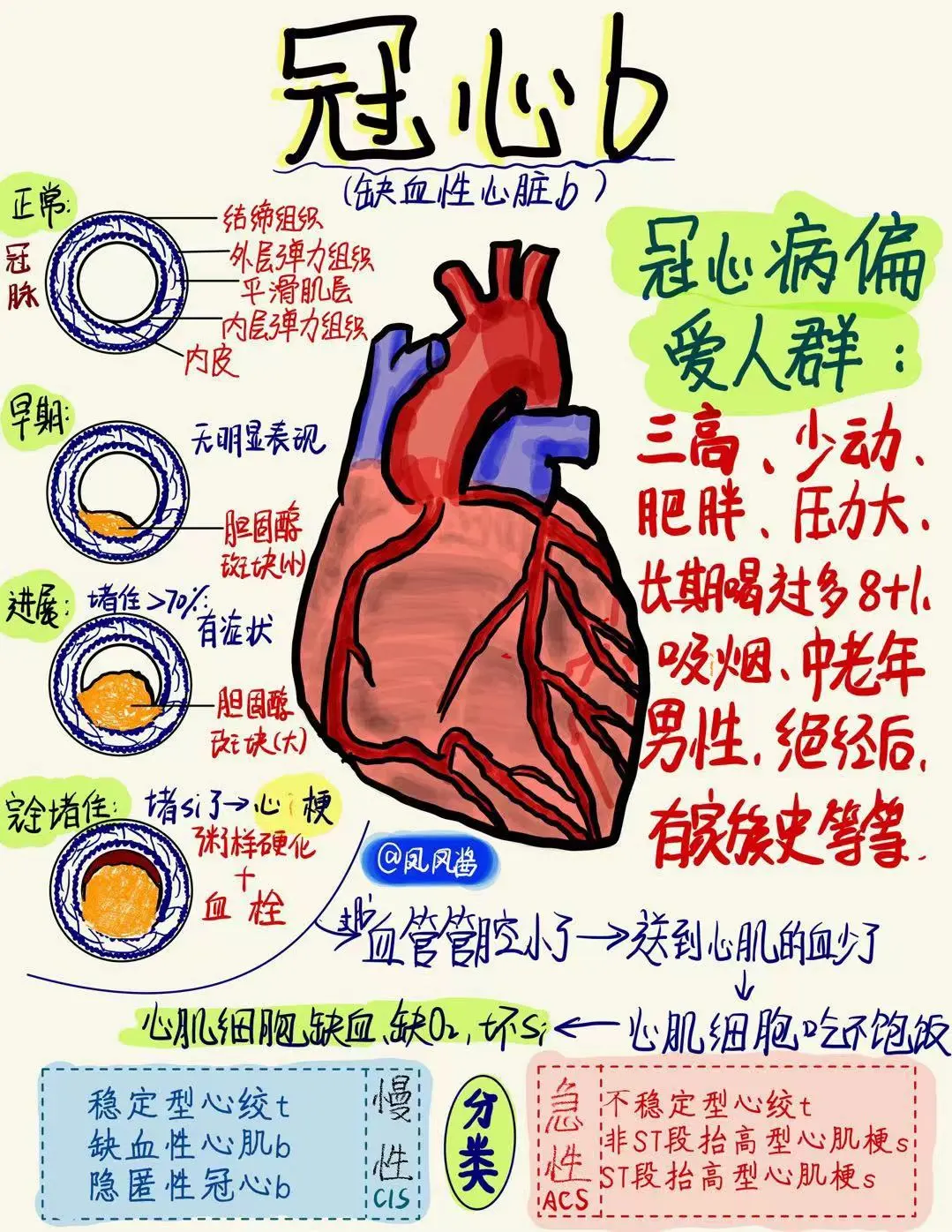 📚医学生笔记| 冠心🧊 建议点赞收藏