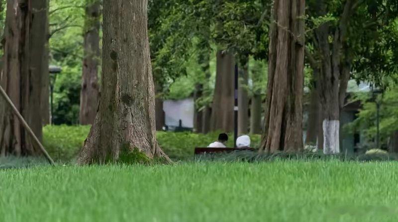 到底是谁在丢中华民族的骨气，答案就在西湖大学的收费标准里高校贴钱养洋学生，说白了