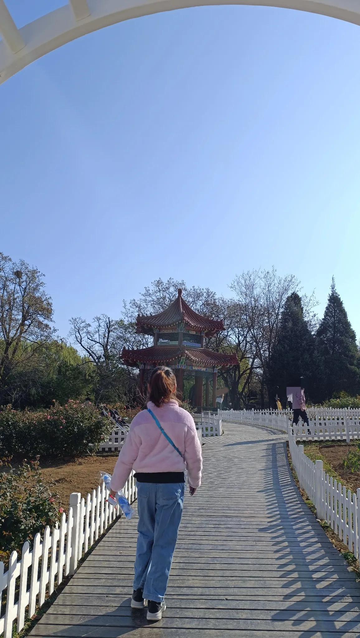 俩人没一个带脑子的[捂脸]一点风都没有的一天，我俩主要目的竟然是去放风筝……真的