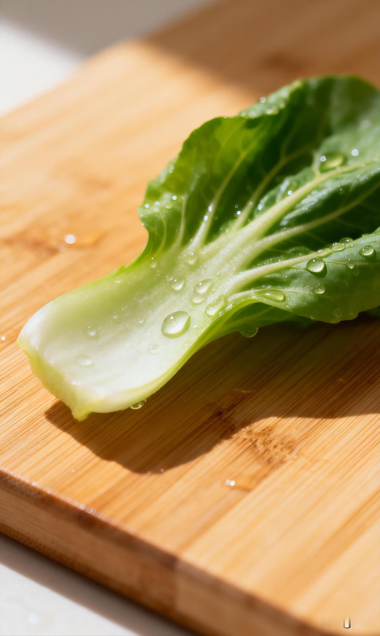 一片青菜
 
忙时吃它，
那叫将就！
闲时吃它，
那叫享受！
吃的是青菜吗？
吃