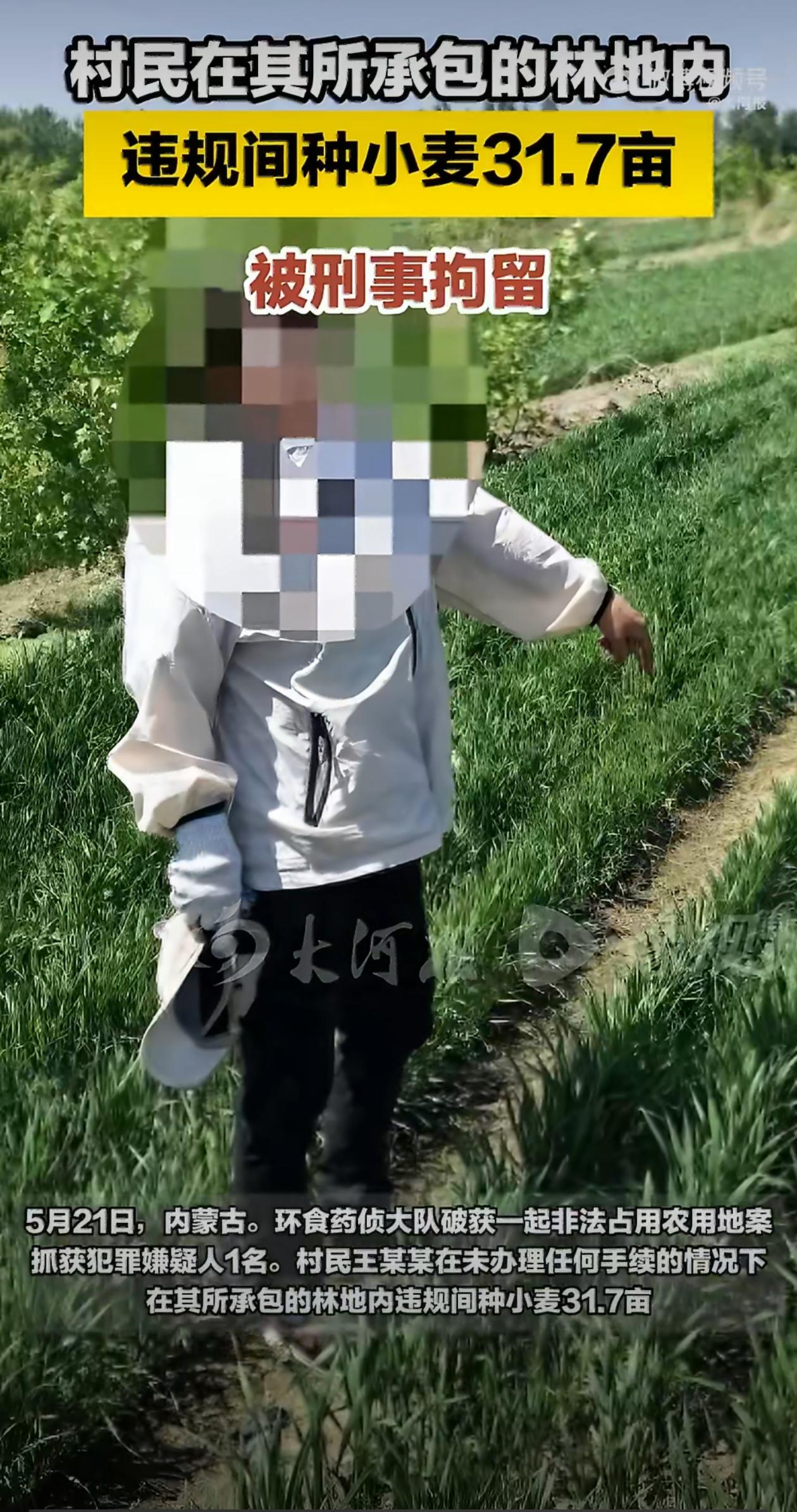 内蒙古，环食药侦大队破获一起非法占用农用地案，抓获犯罪嫌疑人1名。5月11日，环