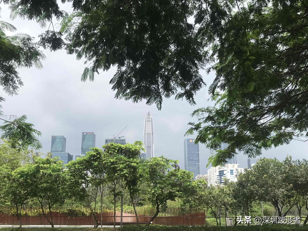 我在深圳，幸好没有过早的沉浸作家梦，否则，我估计现在在睡天桥。1993年，武汉《