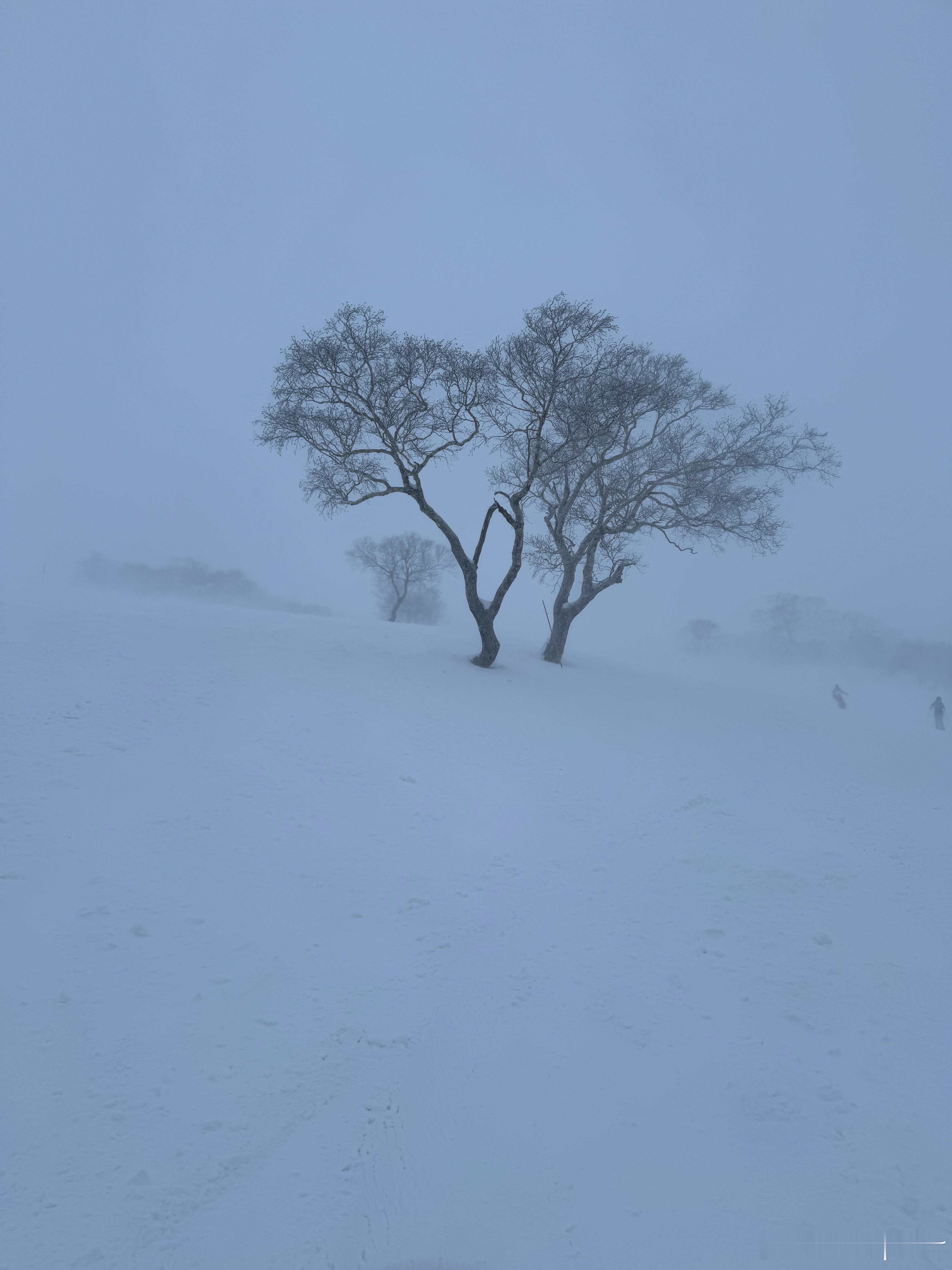 今日的雪山風景！今日早餐又係食柿，加半塊多士，加兩杯飲杯咖啡午餐來食和牛加一蘭，