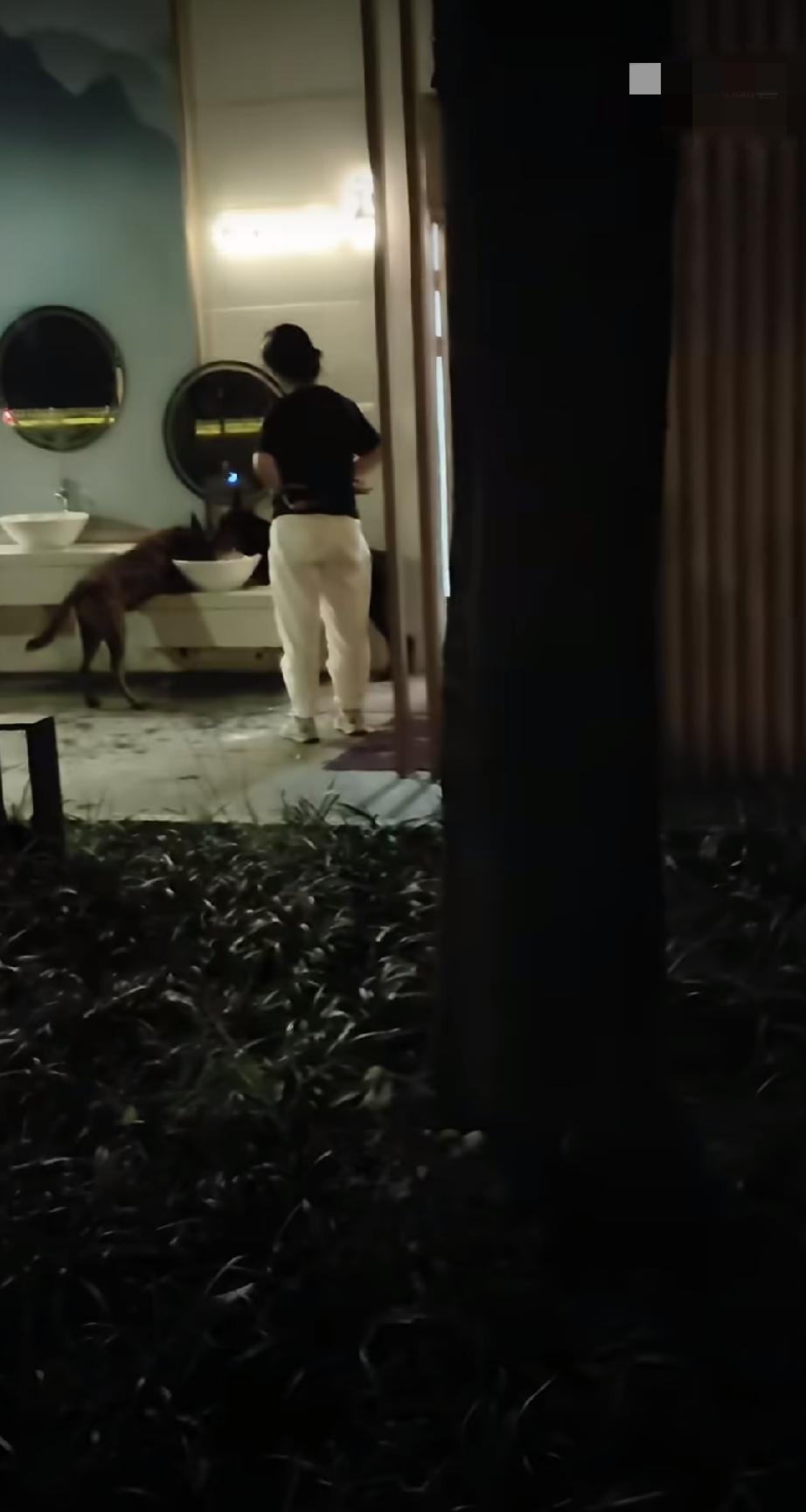 这么大的狗看到都害怕，竟然不拴绳，还直接让狗趴在洗手盆喝水。
如果小孩在这个洗手