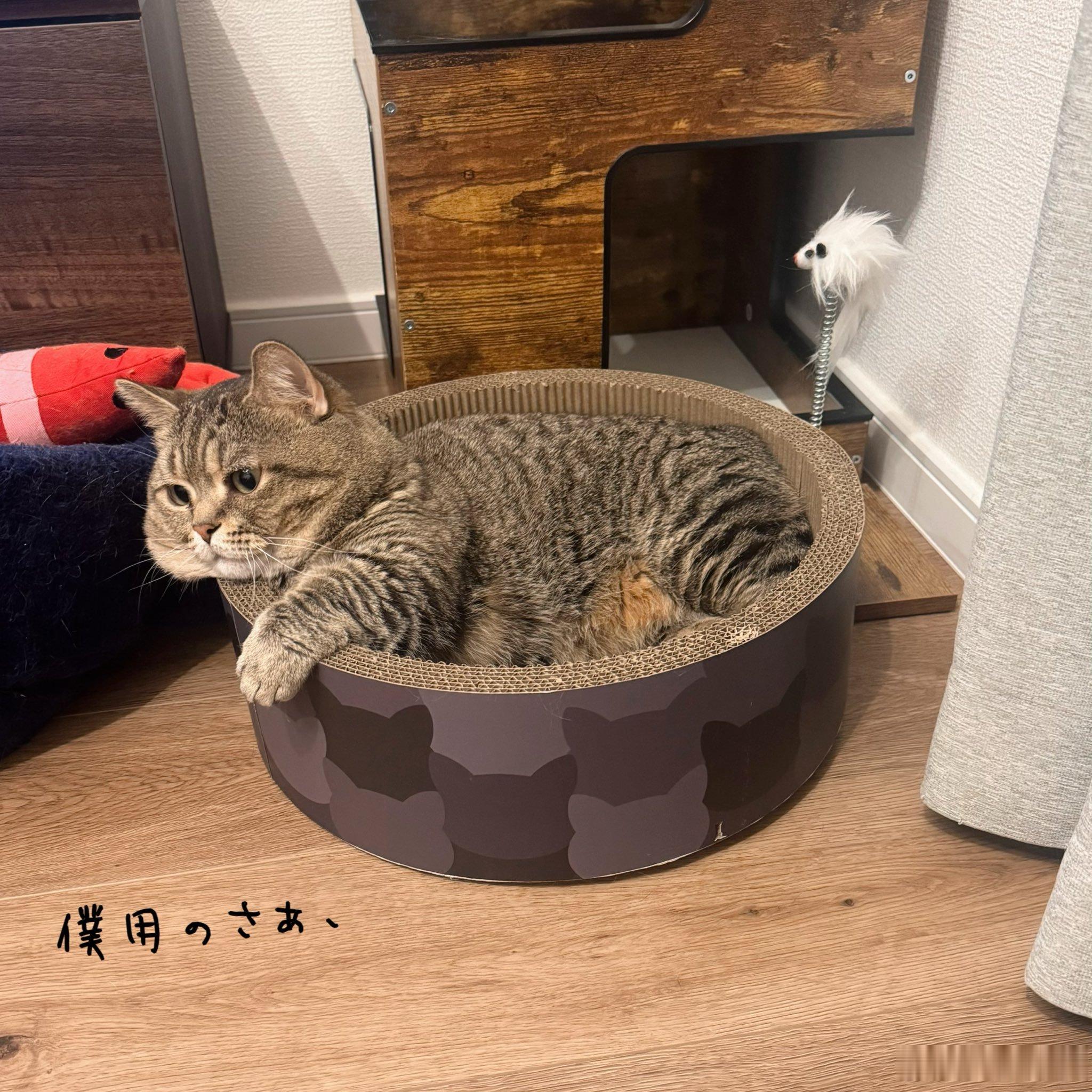 脸颊溢出来