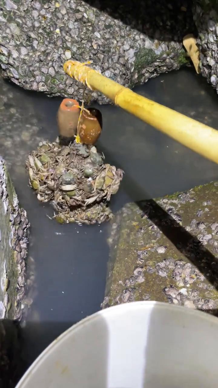 我叫杰瑞米瓦德，垂钓者，生物学家，淡水生物侦探。我穿梭在世界各地寻找神秘攻击事件