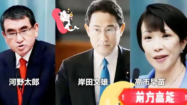 高市早苗又在作妖搞事了！
 
11月15日，日本政客高市早苗公开宣称，岸田文雄政