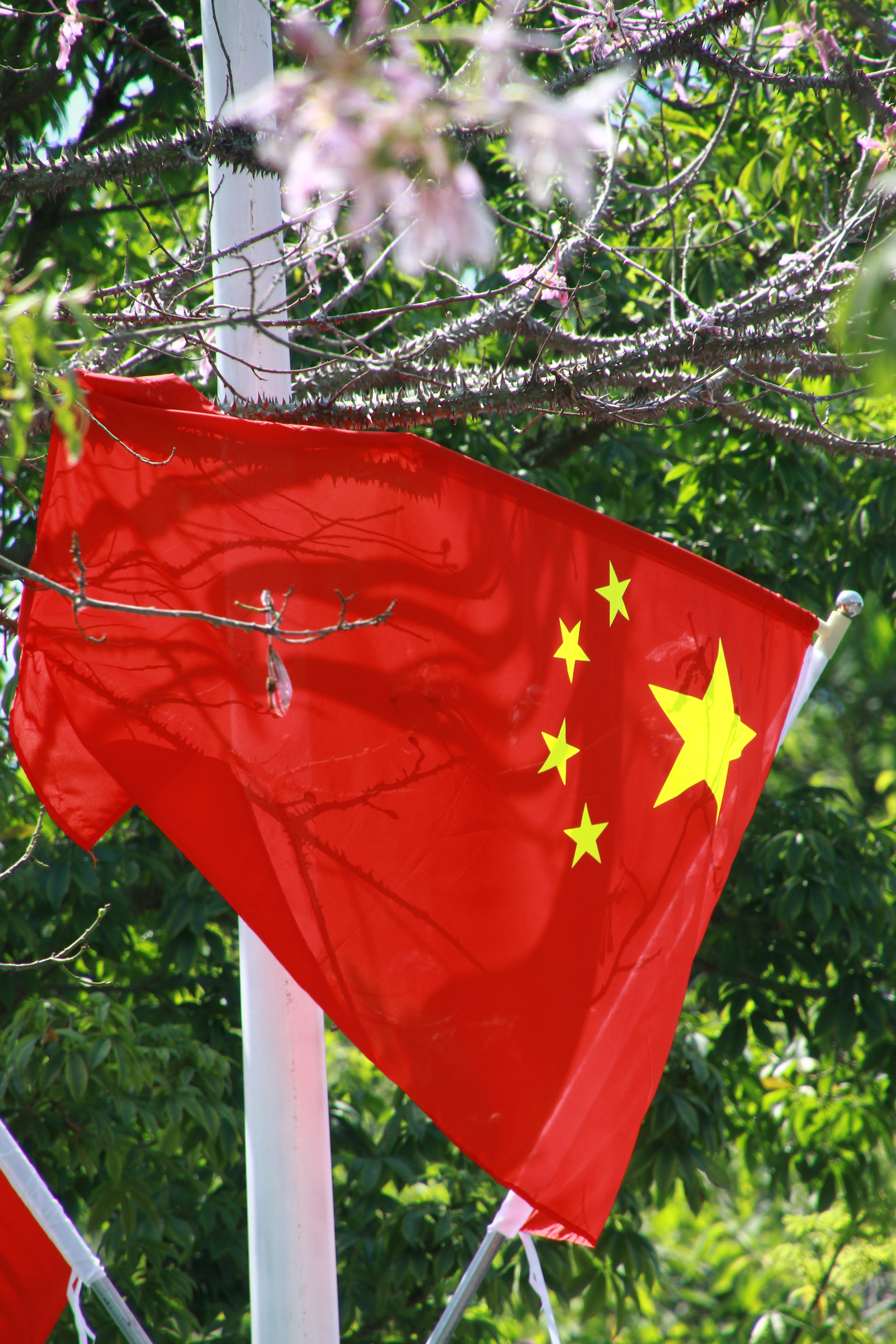 国庆节快乐 ​​​