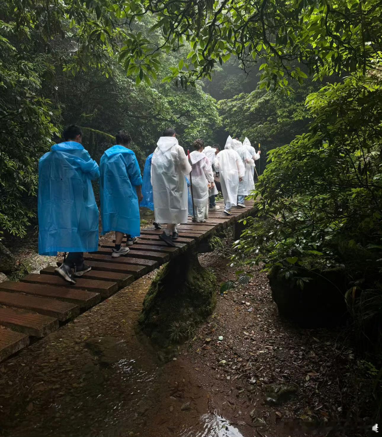 建议爬山不要买白色雨衣白色看起来确实不怎么好看有点恐怖特别是爬山的时候雾又多的时