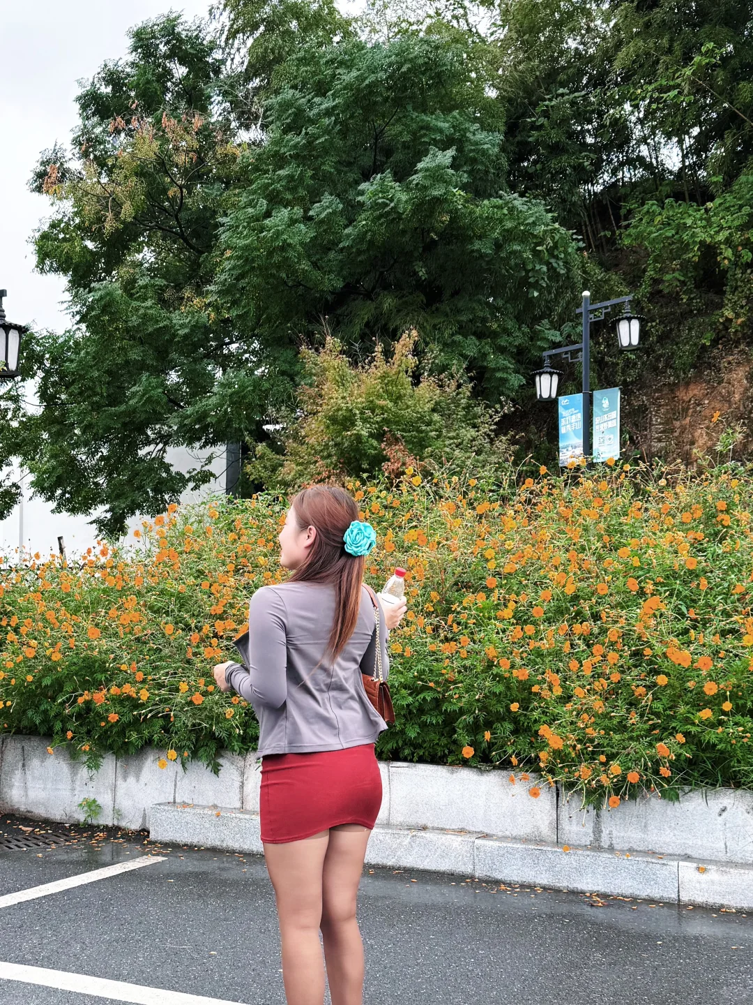 故事的小黄花