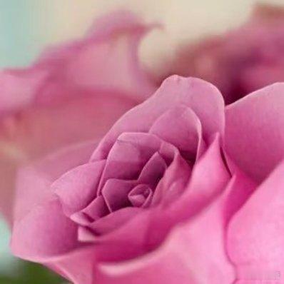 每日一善每一个优秀的人，都不是与生俱来带着光环的，雕塑自己的过程，必定伴随着疼痛