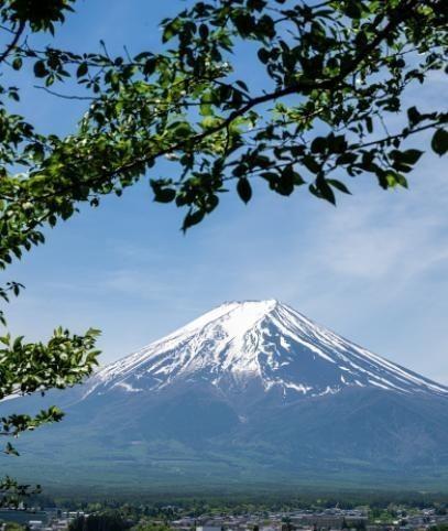 5月30日，一条推文在网上炸开了锅。一个日本人公开质疑："我想问问中国人，明明讨