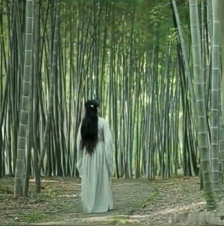 ～～《无题》～～宋人·尧裔岁月流光时变化，往事回望一梦中。云水千重裹红尘，笙歌吴
