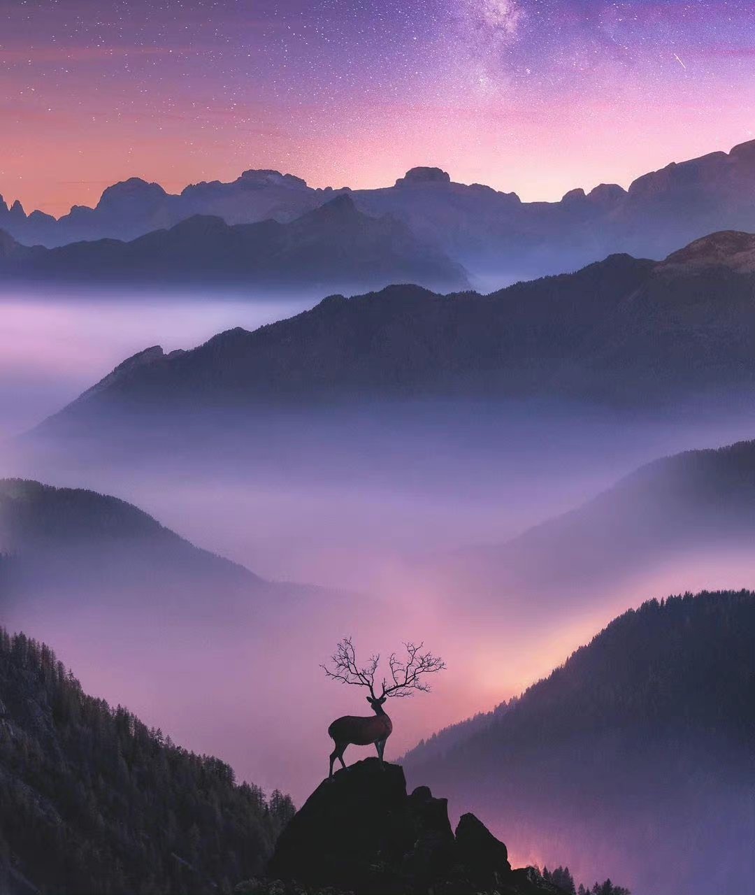 正如我曾走过山，走过水，其实只是借助它们走过我的生命。——史铁生《务虚笔记》