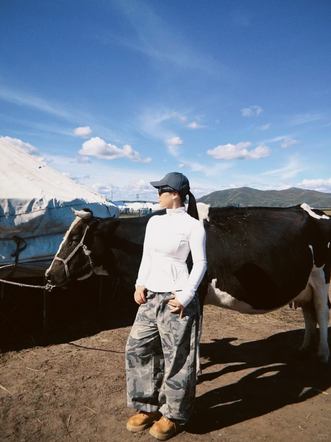 内蒙古的牛马们，比人幸福多了