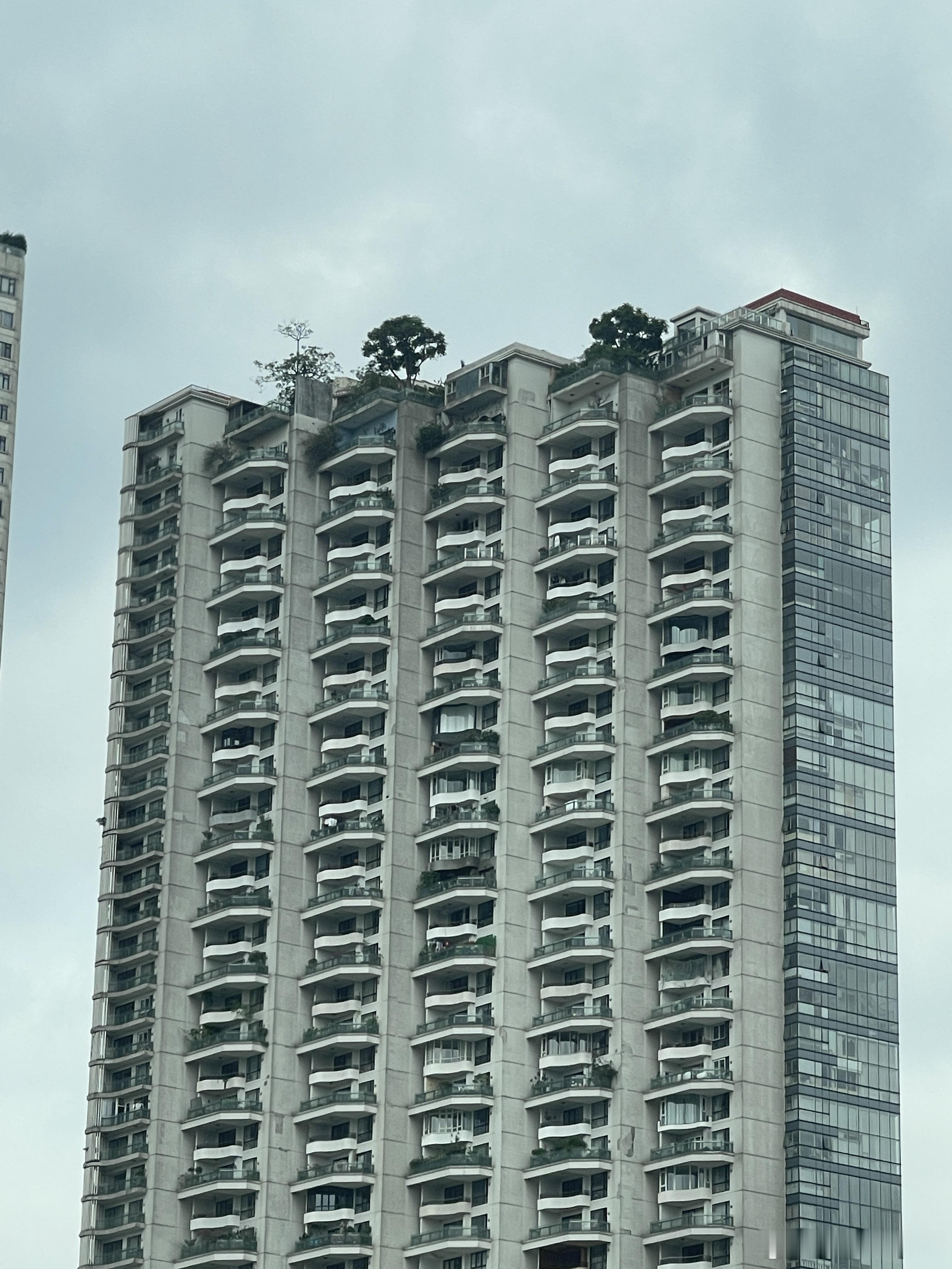 其实我一直都很尊重别人的选择，因为每个人情况不一样，我也劝大家量力而行比如租房也