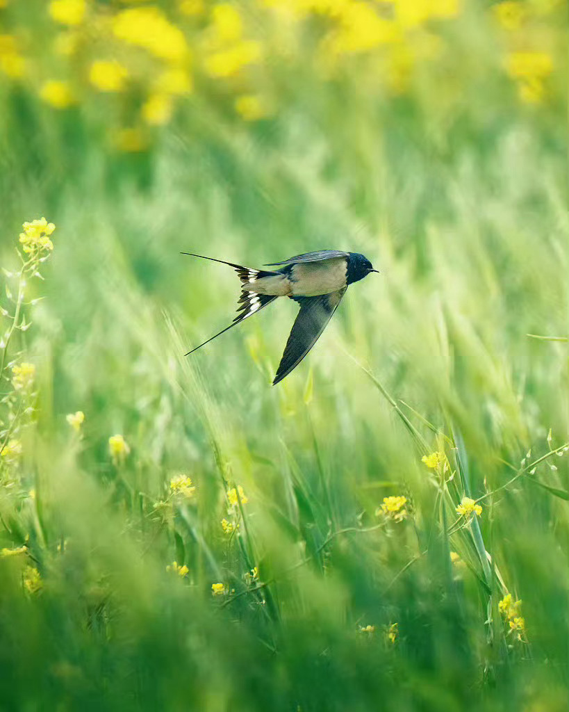 人最后都会朝着自己走去，不用人教，也不用文化和知识去引领，也不用多大一个理想。有