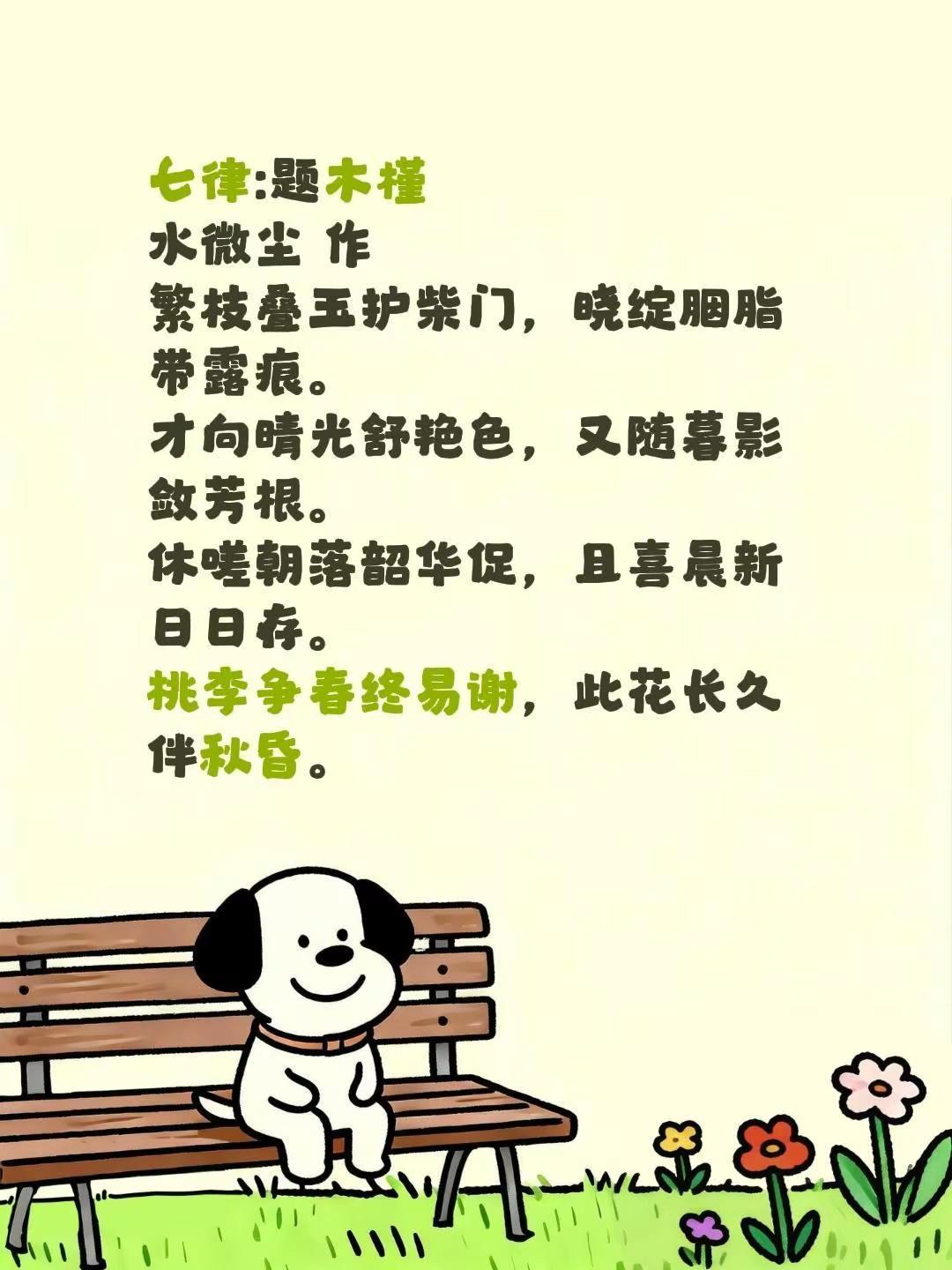 我评论了@水兆北辰 的作品：七律:题木槿水微尘 作繁枝叠玉护柴门，晓绽胭脂带露痕