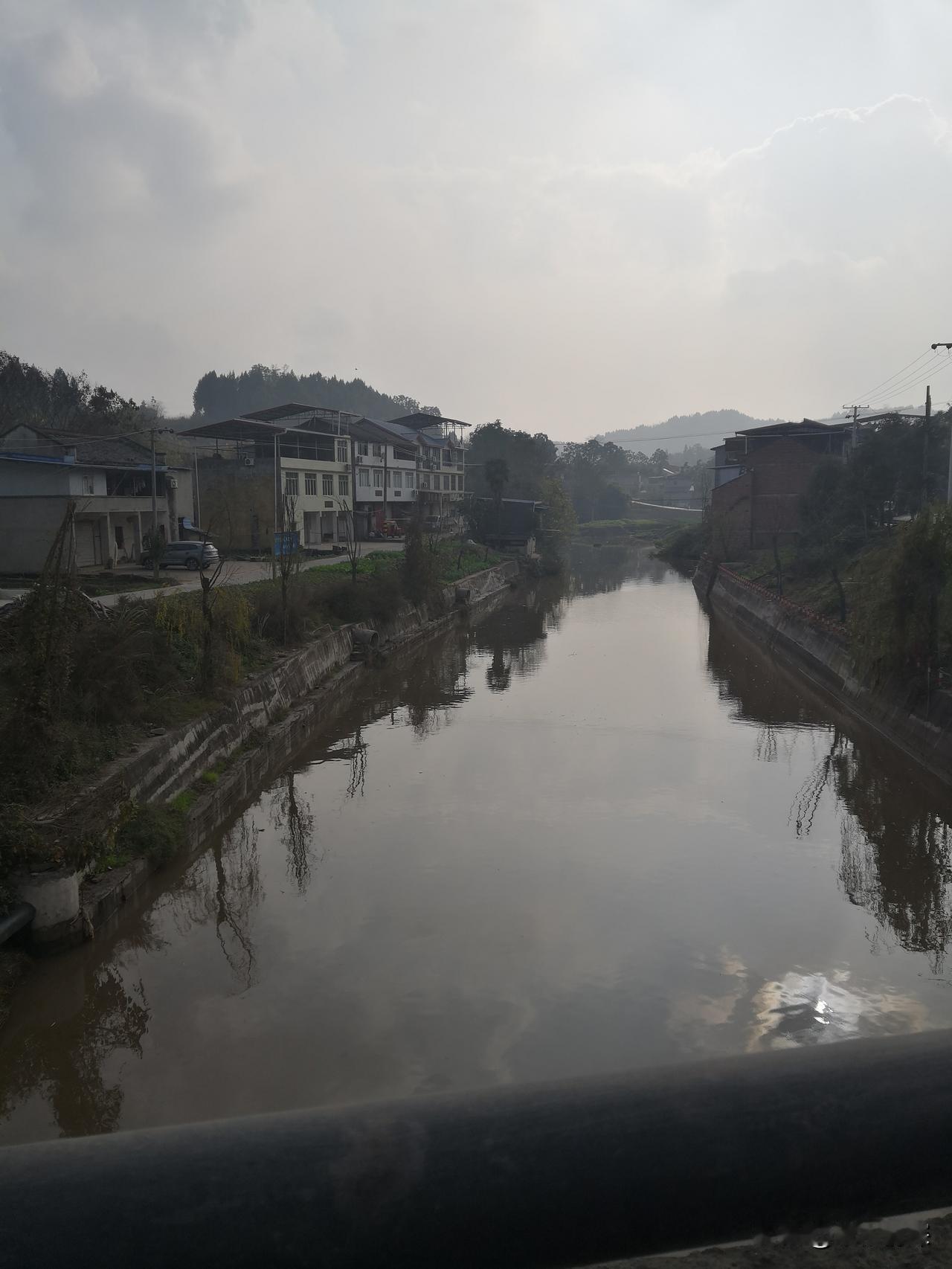 冬至已经过了很久，但在农村杀年猪的感觉，还是每家人有有年猪的就是一个喜事，记得冬