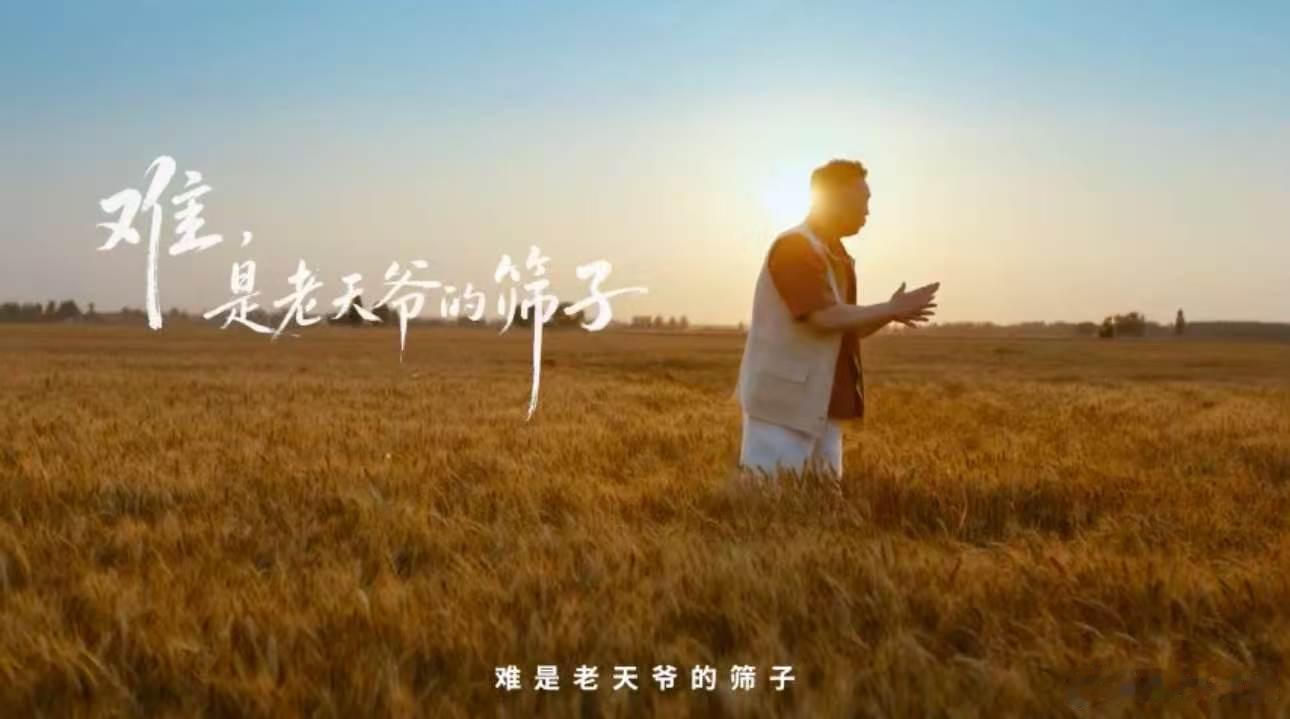 刷河北隆尧麦收画面真的瞬间被治愈！金黄麦浪一望无际，收割机有序作业，麦子不用长途