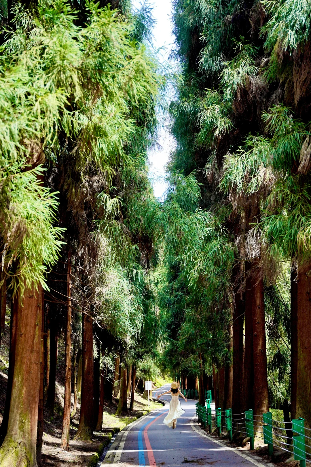 成都周边🚘1h！！赏花！温泉！徒步……