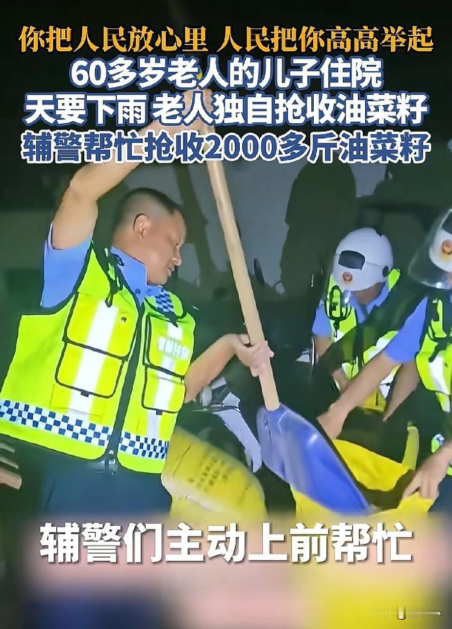 军民一家亲！60岁老人深夜抢收油菜籽，辅警夜巡正好看到，得知原因后，主动上前帮忙
