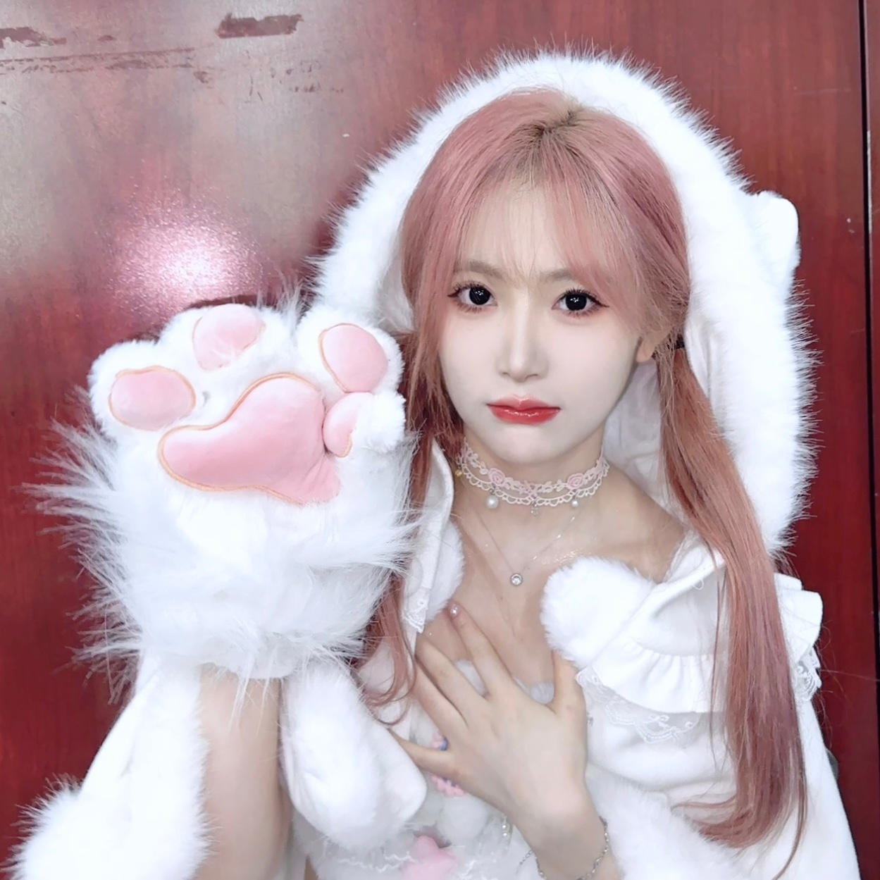 肯恰那 喵喵喵喵喵～ ​​​