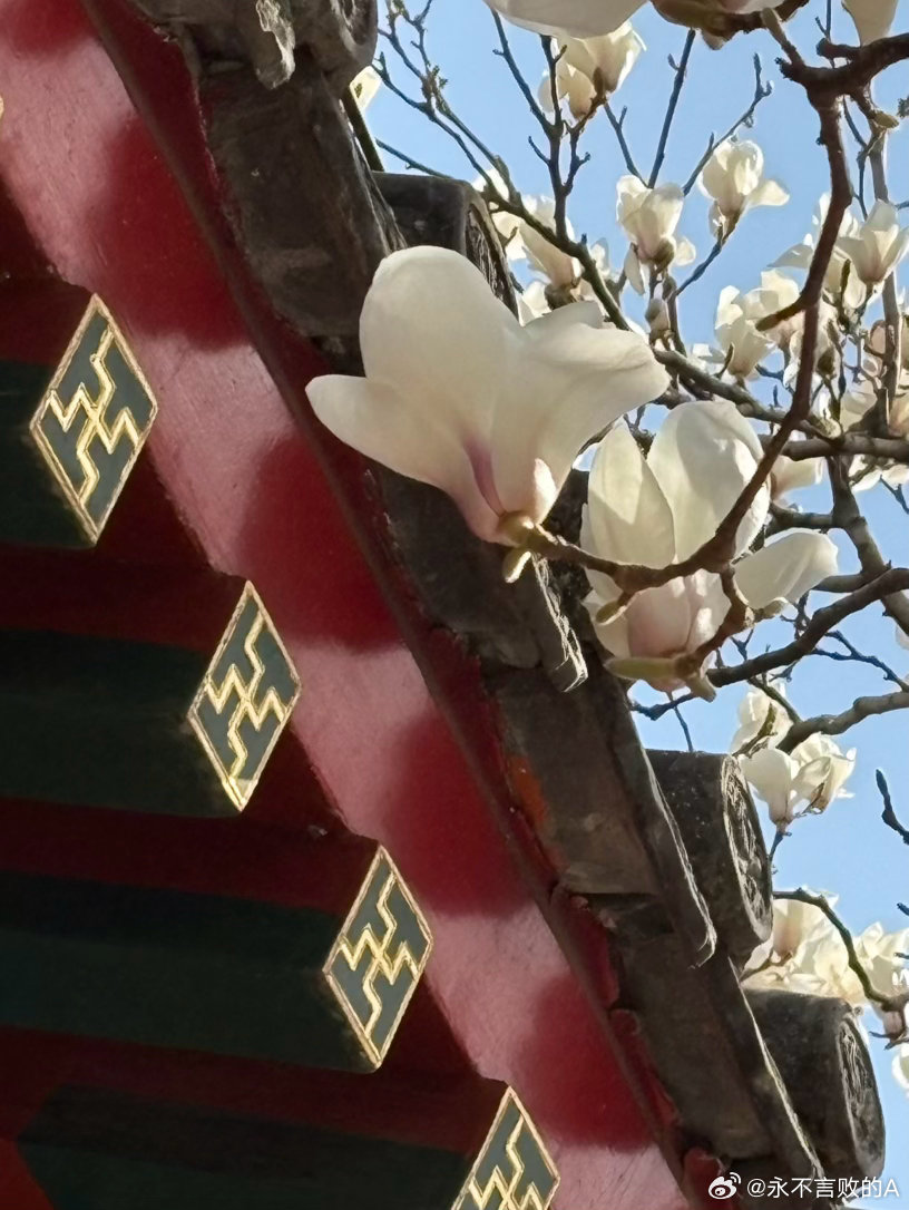 陶然亭慈悲庵 摄影