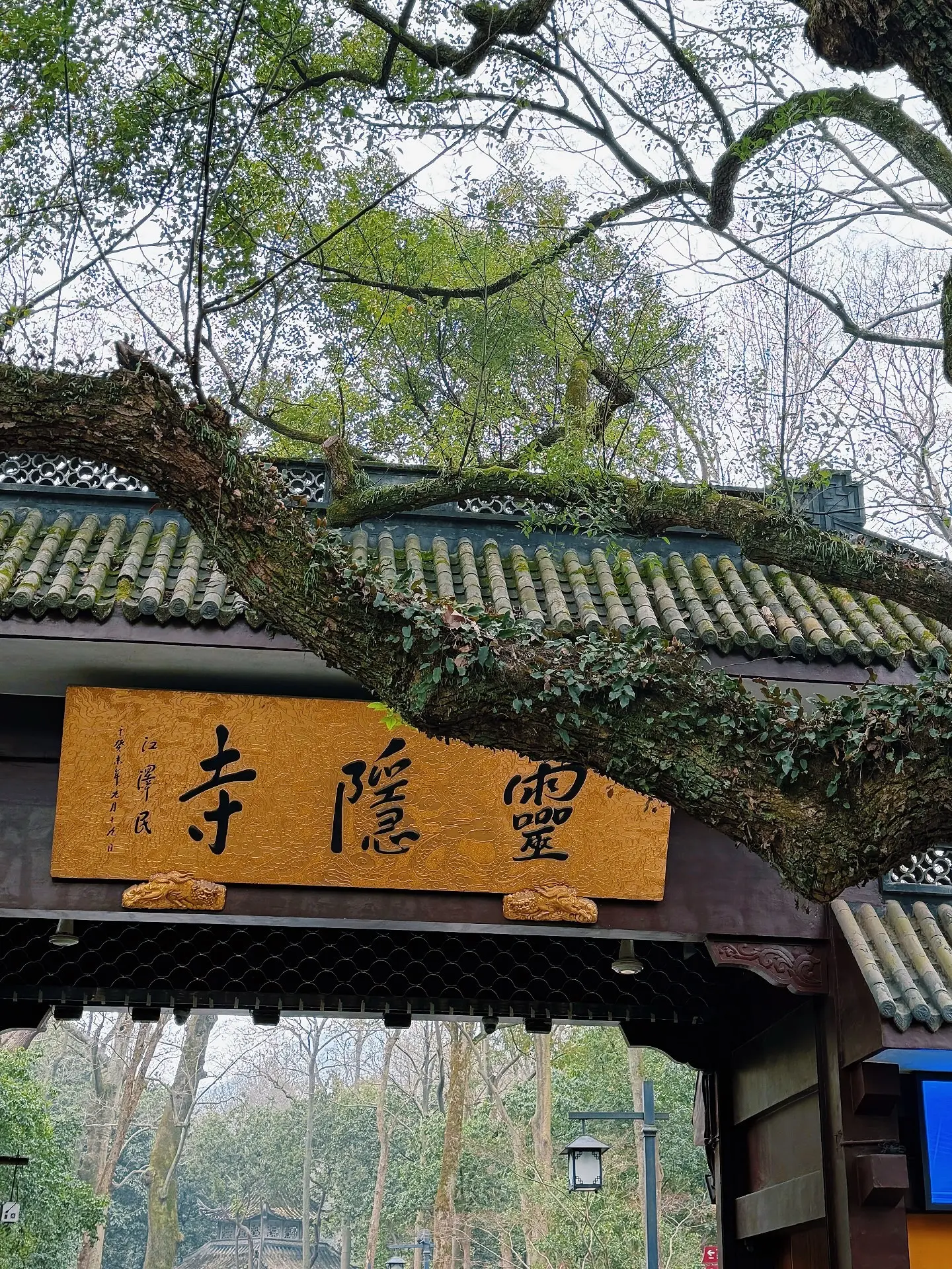 闭上眼  希望佛前的愿能灵验